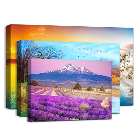 Canvas Prints