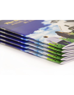 Saddle-Stitch Booklets