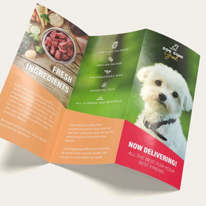 Z-Fold Brochures