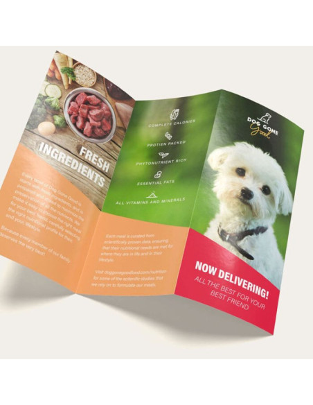 Z-Fold Brochures