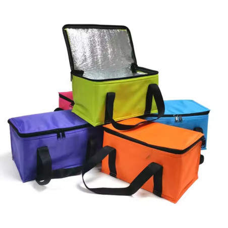 6-Can Cooler Bag